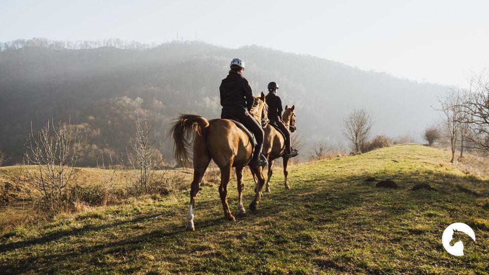 Lake Como: Horseback Adventure & Tasting With Amazing Views - Common questions