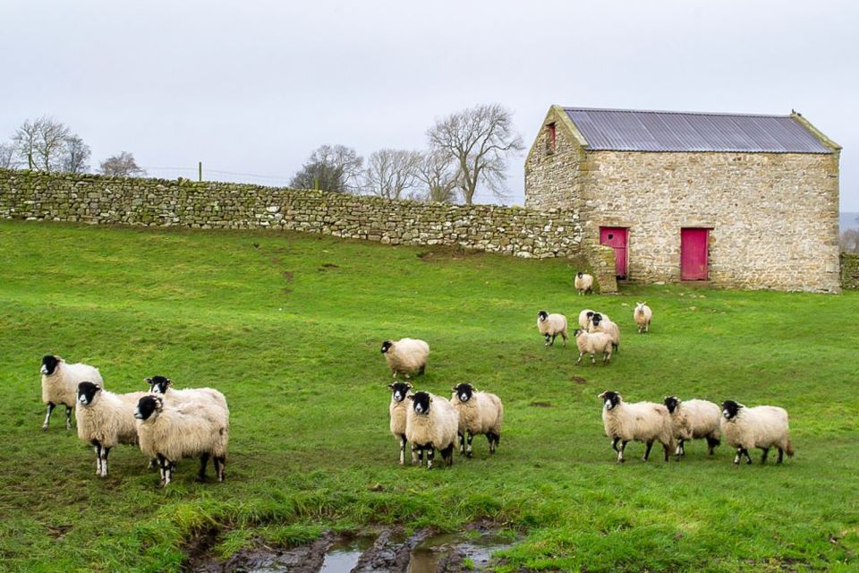 The Yorkshire Dales Tour From York - Common questions