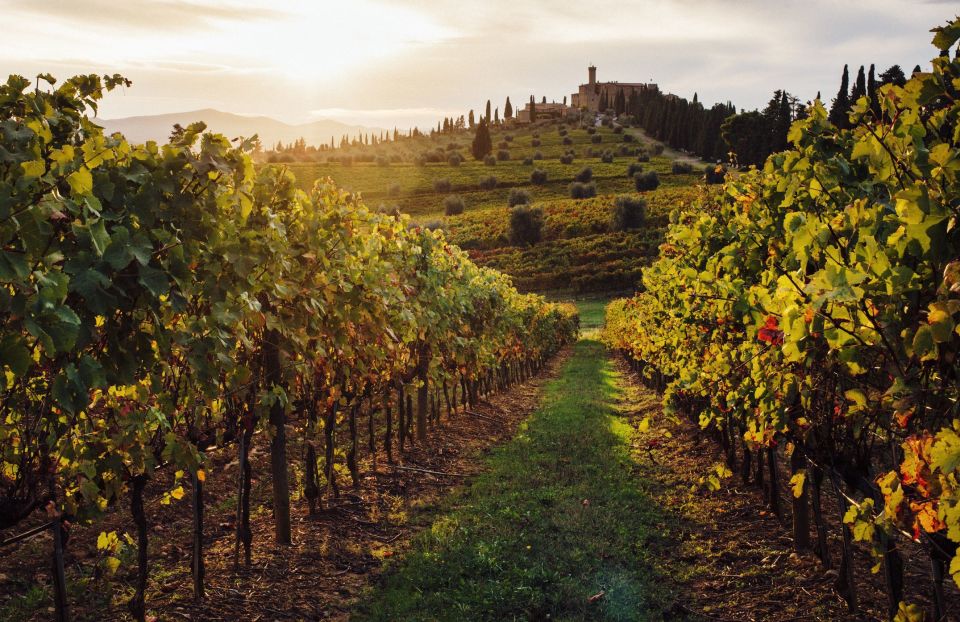 Traditional Tuscan Cooking Class in a Winery From Florence - Directions