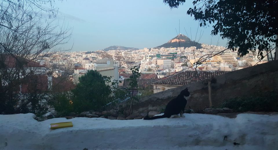 Acropolis , Parthenon and Plaka, Monastiraki Walking Tour - Last Words