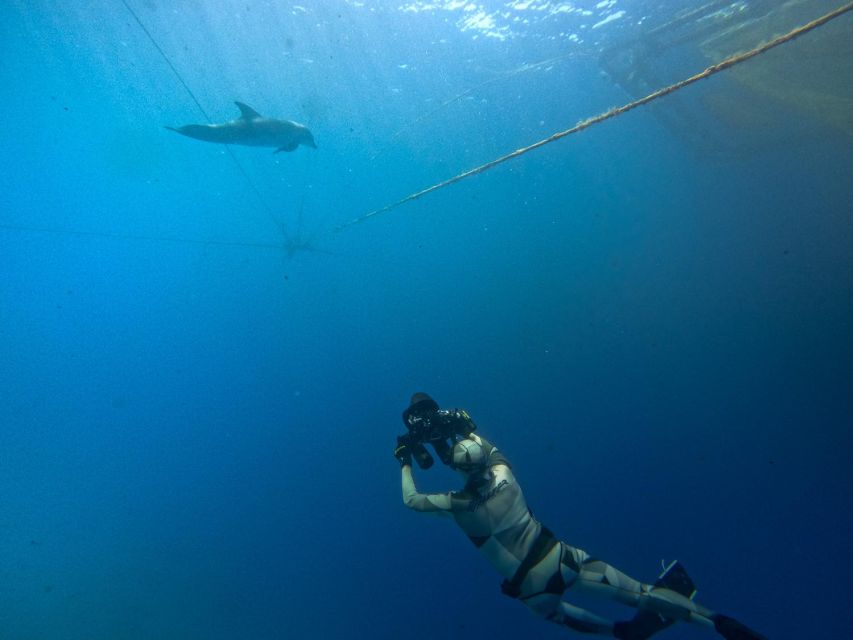 Kamiros Skala: Marine Life Experience by Boat - Last Words