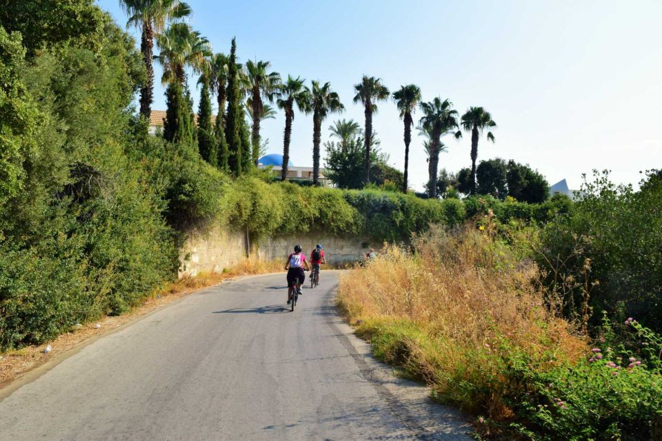 Rhodes: Kallithea Springs E-Bike Tour With Snorkeling - Last Words