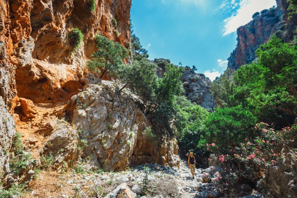 Crete: Kritsa Gorge Hike With Picnic & Swim Stop - Activity Overview