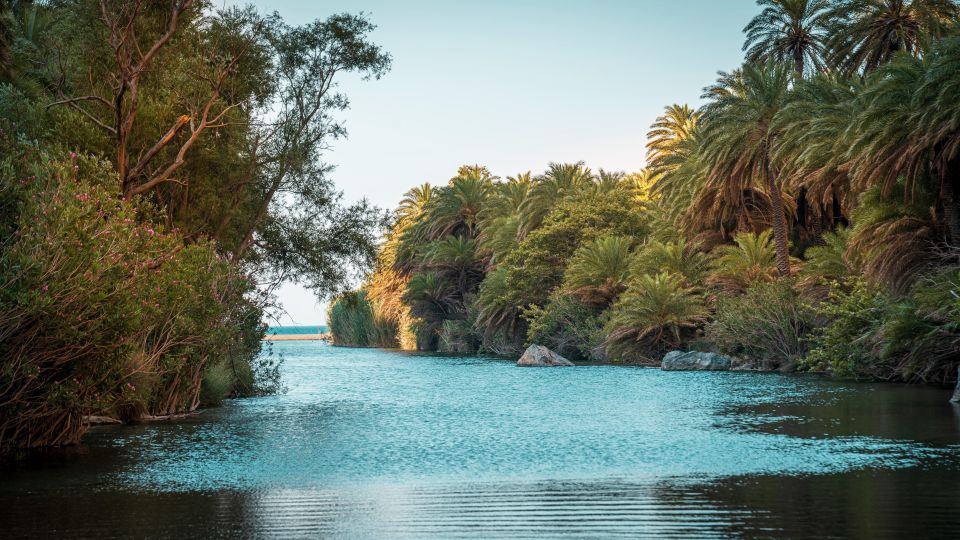 Crete: Preveli Tropical Beach - Tour Details