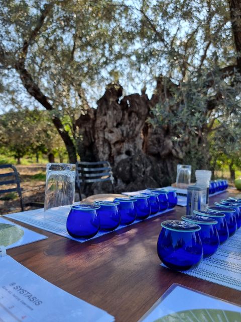 Ermioni: Olive Oil Tasting & Millennial Olive Tree Tour - Experience Details