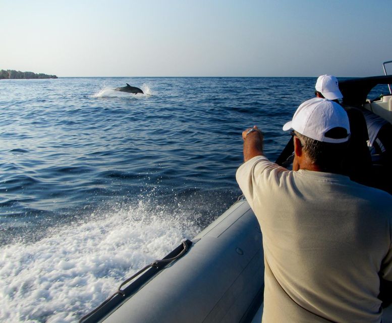 Kamiros Skala: Marine Life Experience by Boat - Activity Overview