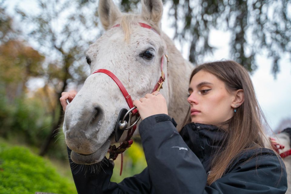 Lake Como: Horseback Adventure & Tasting With Amazing Views - Key Points