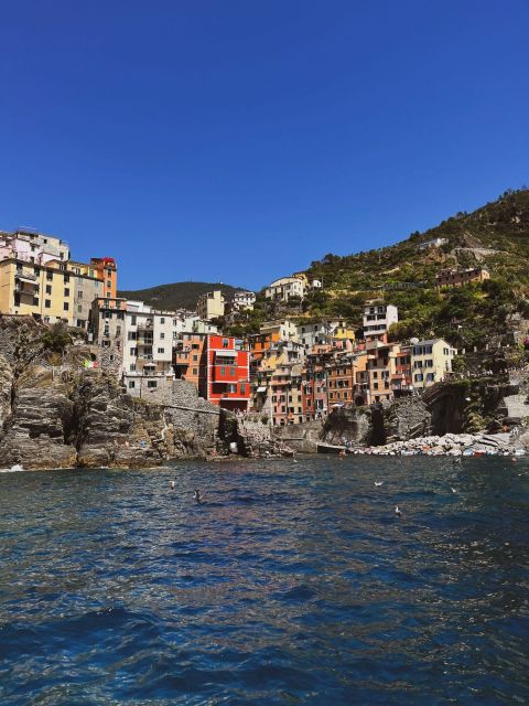 Pisa and Cinque Terre: an Italian on the Road - Key Points