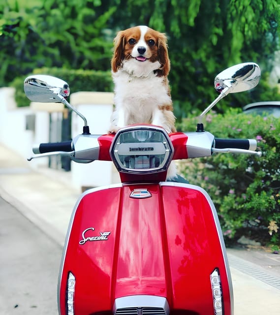 Positano: Lambretta Private Tour - Key Points