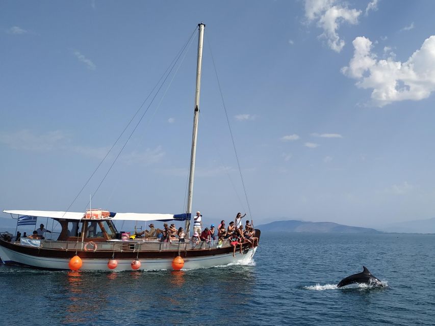 Preveza: Dolphin Watching Cruise With Lunch and Drinks - Activity Details