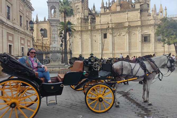 Private Guided Tour of Seville in a Traditional Horse Car - Key Points