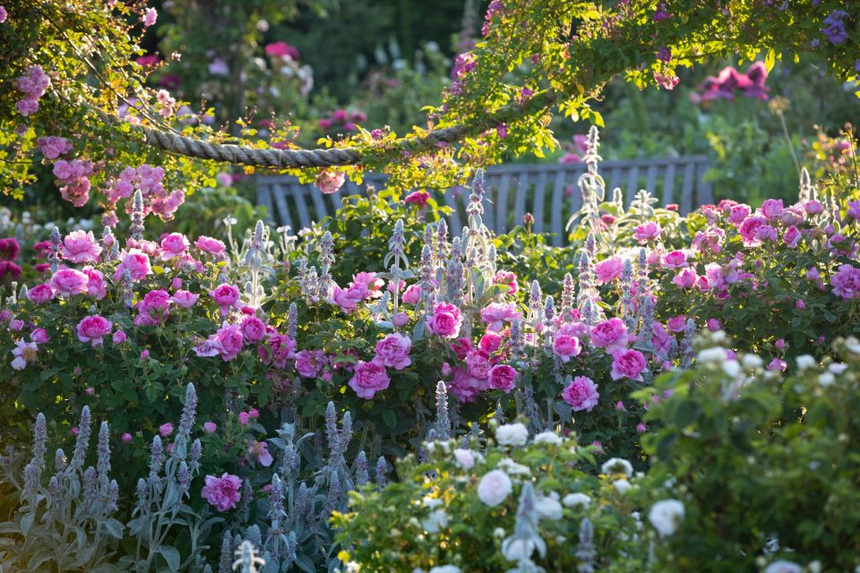 Royal Horticultural Society: Rosemoor Garden Ticket - Key Points