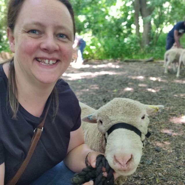 Shropshire Sheep Trekking - Key Points