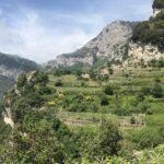 1 amalfi walking tour between furore vertical vineyards Amalfi: Walking Tour Between Furore Vertical Vineyards