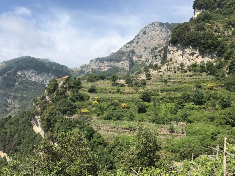 Amalfi: Walking Tour Between Furore Vertical Vineyards