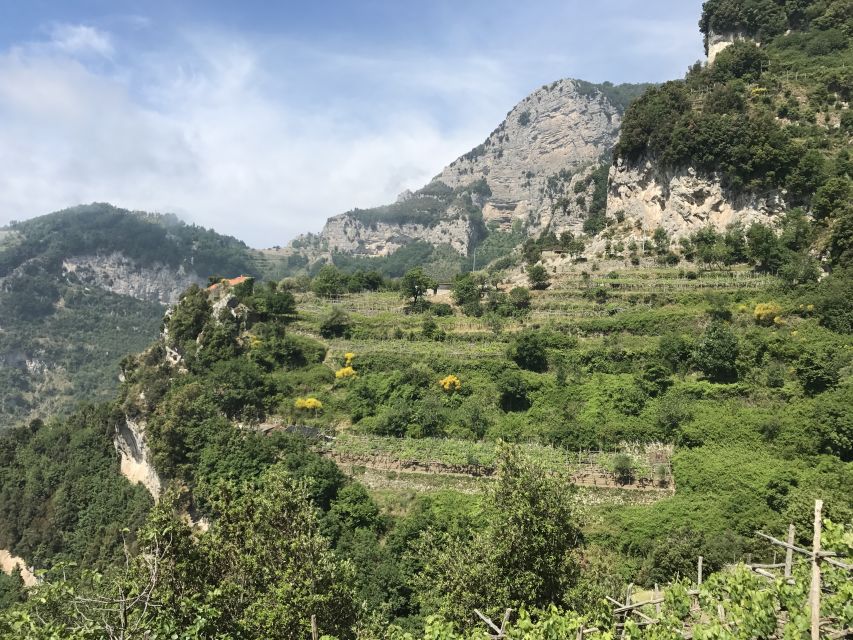 1 amalfi walking tour between furore vertical vineyards Amalfi: Walking Tour Between Furore Vertical Vineyards