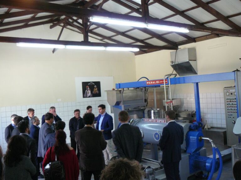 Corfu: Olive Oil Experience – The Governors Olive Mill