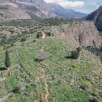 1 delphi easy hike on ancient path through the olive groves Delphi: Easy Hike on Ancient Path Through the Olive Groves