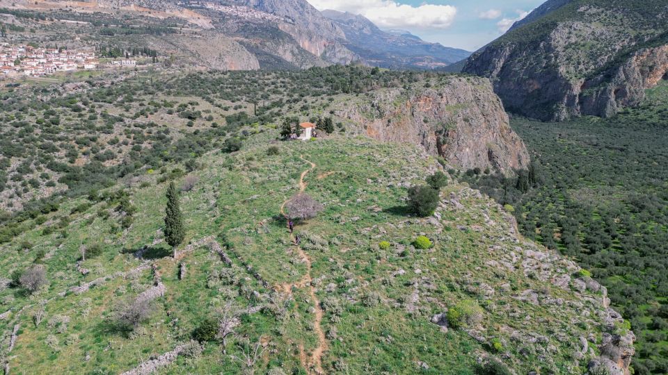 1 delphi easy hike on ancient path through the olive groves Delphi: Easy Hike on Ancient Path Through the Olive Groves