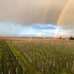 1 from bordeaux wine tour saint emilion half day From Bordeaux : Wine-Tour Saint-Emilion Half-Day