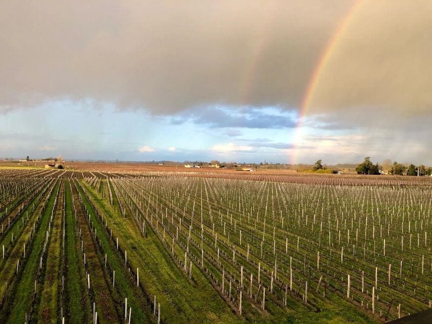 1 from bordeaux wine tour saint emilion half day From Bordeaux : Wine-Tour Saint-Emilion Half-Day