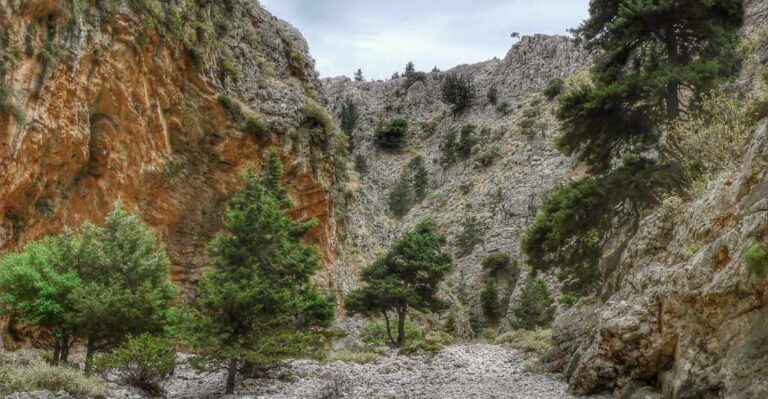 From Chania: Imbros Gorge