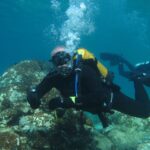 1 halkidikidiving for certified divers in kassandra Halkidiki:Diving for Certified Divers in Kassandra