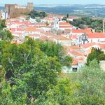 1 nazare obidos waves and history private tour from lisbon Nazaré Óbidos - Waves and History Private Tour From Lisbon