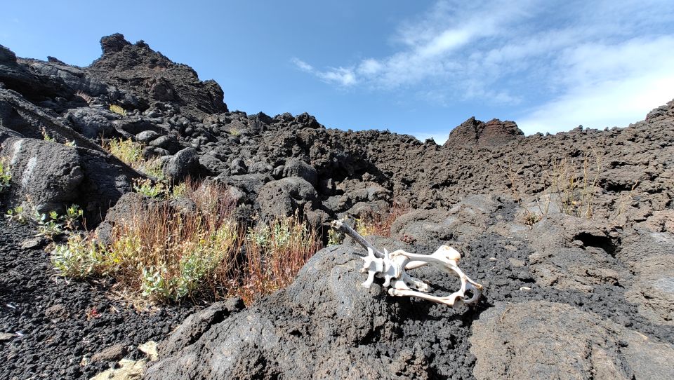 Trekking to Bottoniera Craters - Itinerary