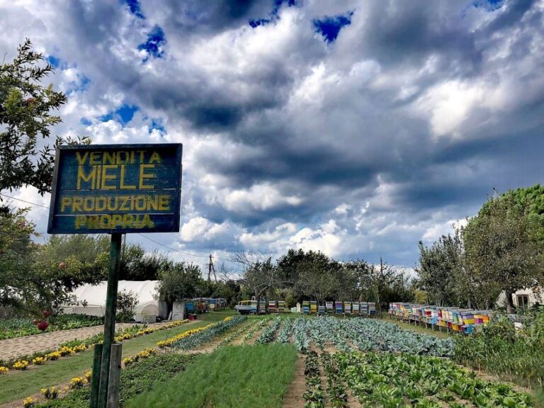 Venice: Bike Tour Honey & Artichockes on Sant’Erasmo Island