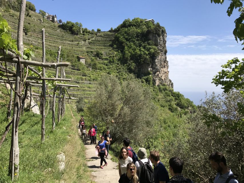 Amalfi: Walking Tour Between Furore Vertical Vineyards - Itinerary