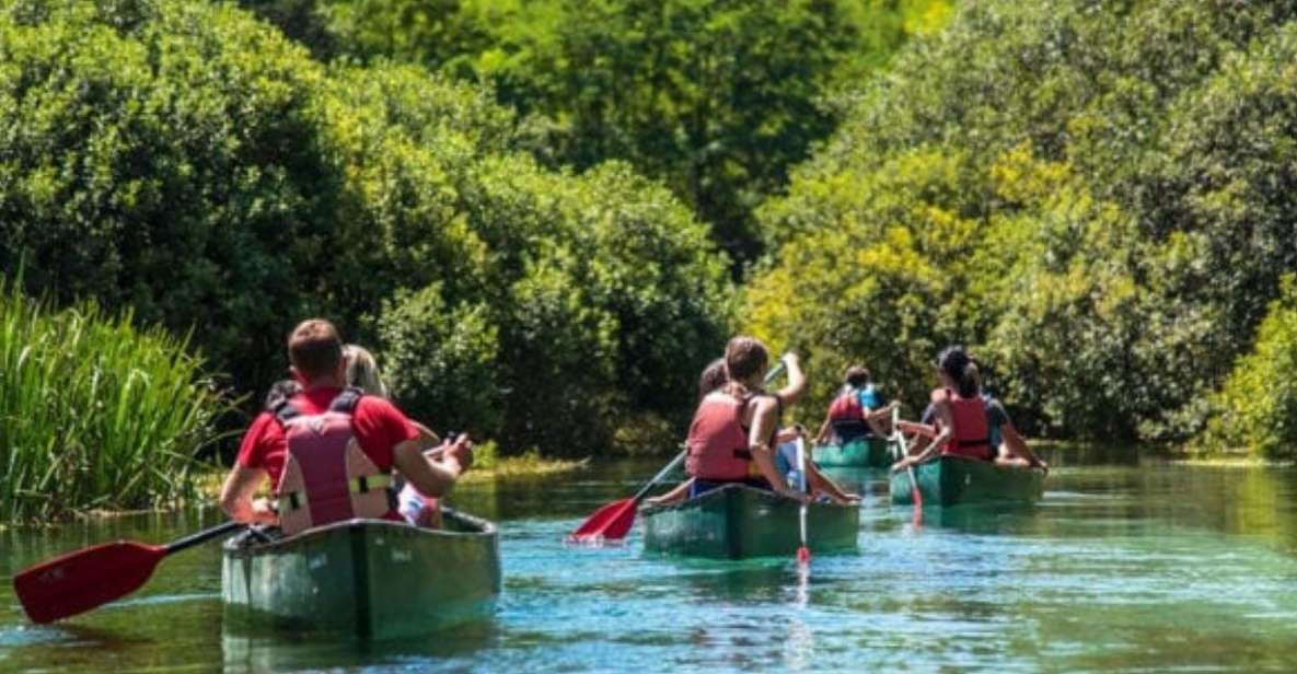 Canoe Ride on Piediluco Lake With Lunch - Pricing Information