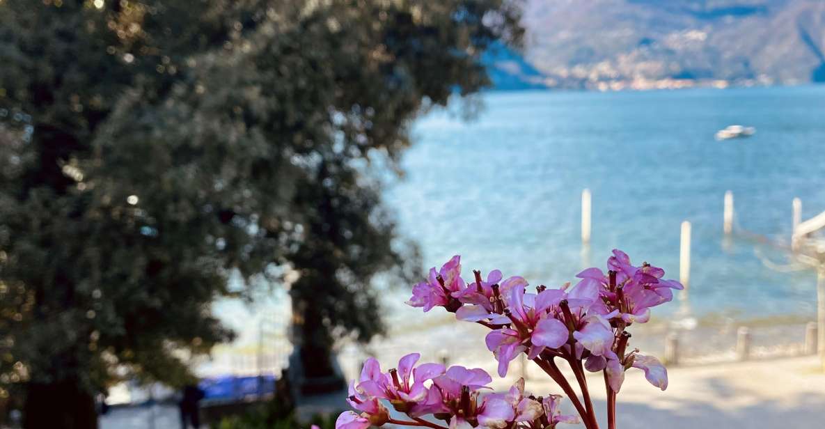 Discover Lake Como & Bellagio With a Local - Booking Information