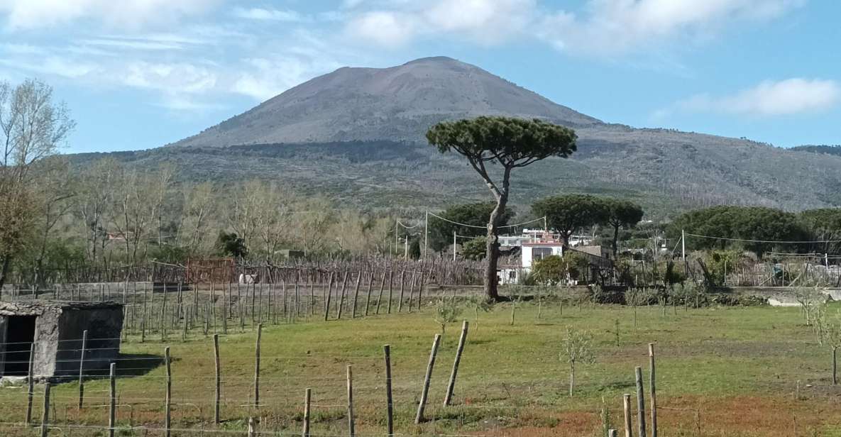 Pompeii and Wine Tasting Tour - Itinerary