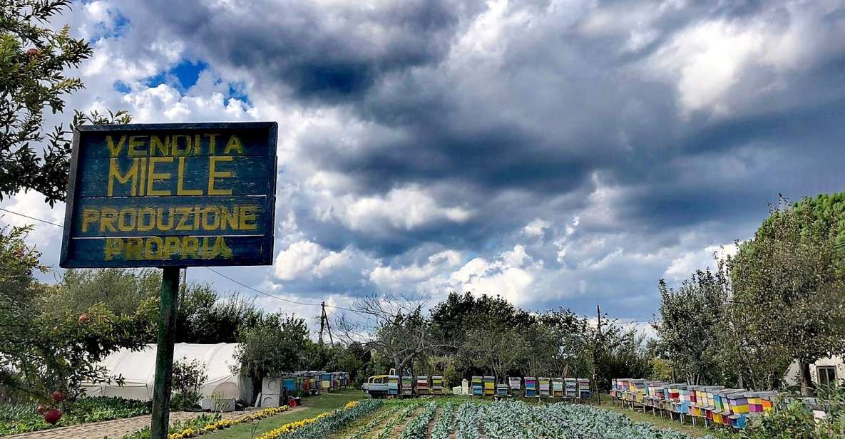 Venice: Bike Tour Honey & Artichockes on Sant'Erasmo Island - Activity Description