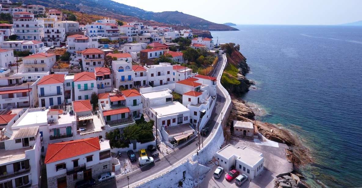 Andros: Private Transfer From Batsi Port - Cancellation Policy