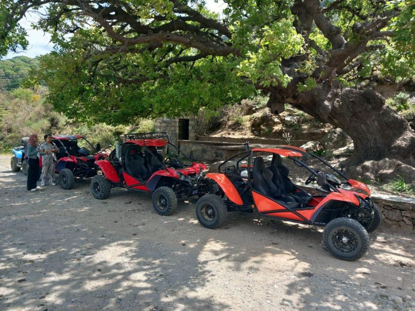 Buggy Safari Half Day 4 Hours 4 Hours ( Hersonissos -Malia) - Key Highlights and Sightseeing