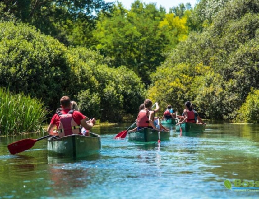 Canoe Ride on Piediluco Lake With Lunch - Duration and Schedule