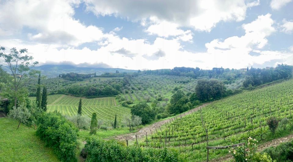 From Florence: PRIVATE Wine Experience in Chianti Classico - Important Information