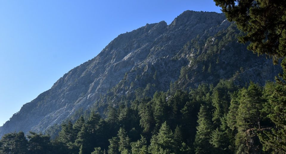 Samaria Gorge Hike: Day Excursion From Chania - Participant Suitability and Safety