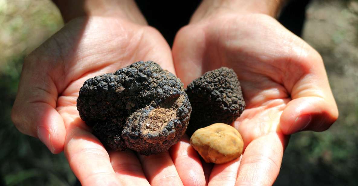 San Gimignano: Truffle Cooking Class With Wine Tasting - Duration and Language