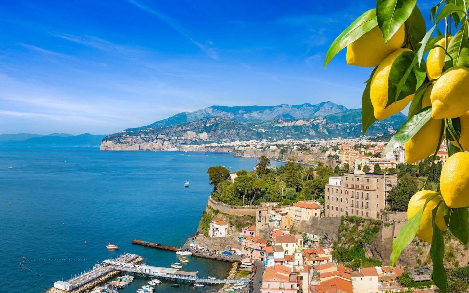 Transfer One Way From Naples to Sorrento - Driver and Vehicle