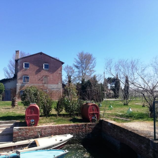 Venice: Bike Tour Honey & Artichockes on Sant'Erasmo Island - Inclusions