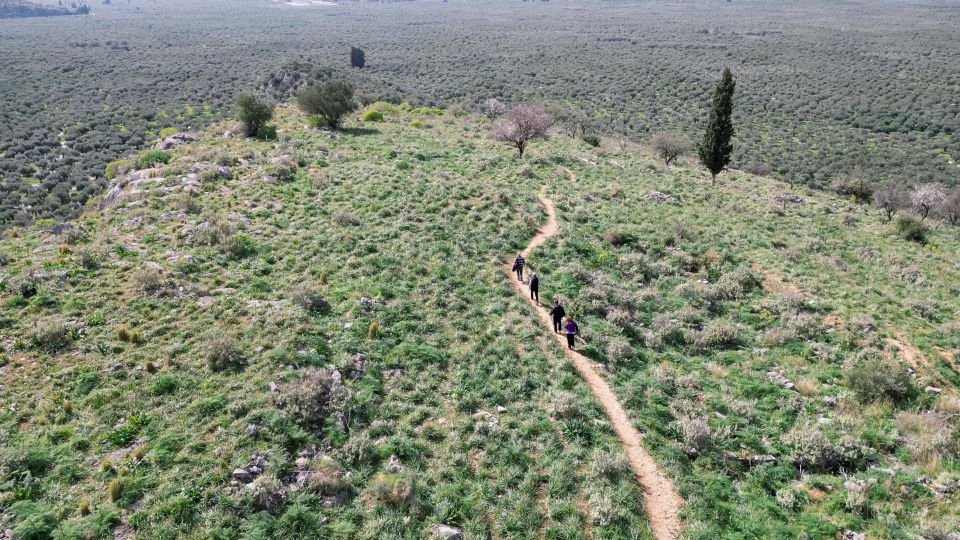 Delphi: Easy Hike on Ancient Path Through the Olive Groves - Exclusions