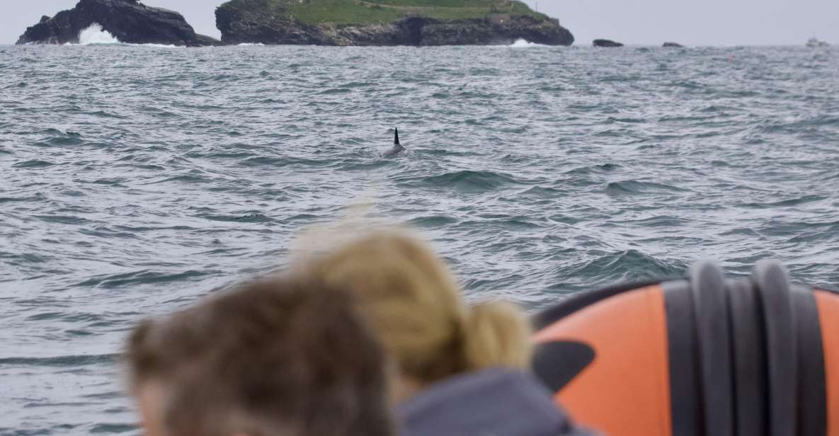 Godrevy to Hells Mouth Boat Trip - Guide Information