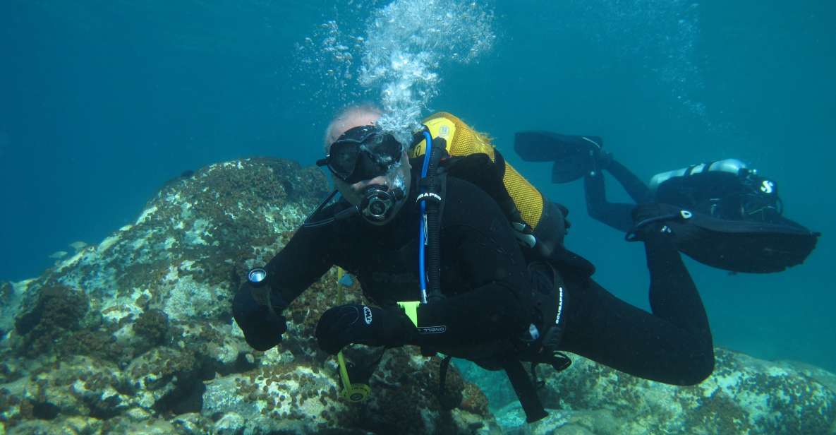 Halkidiki:Diving for Certified Divers in Kassandra - Booking and Cancellation Policy