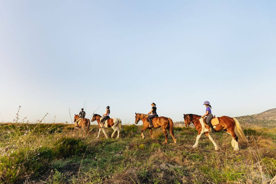 Heraklion: Finikia Horse Riding Day Tour With Lunch - Important Information