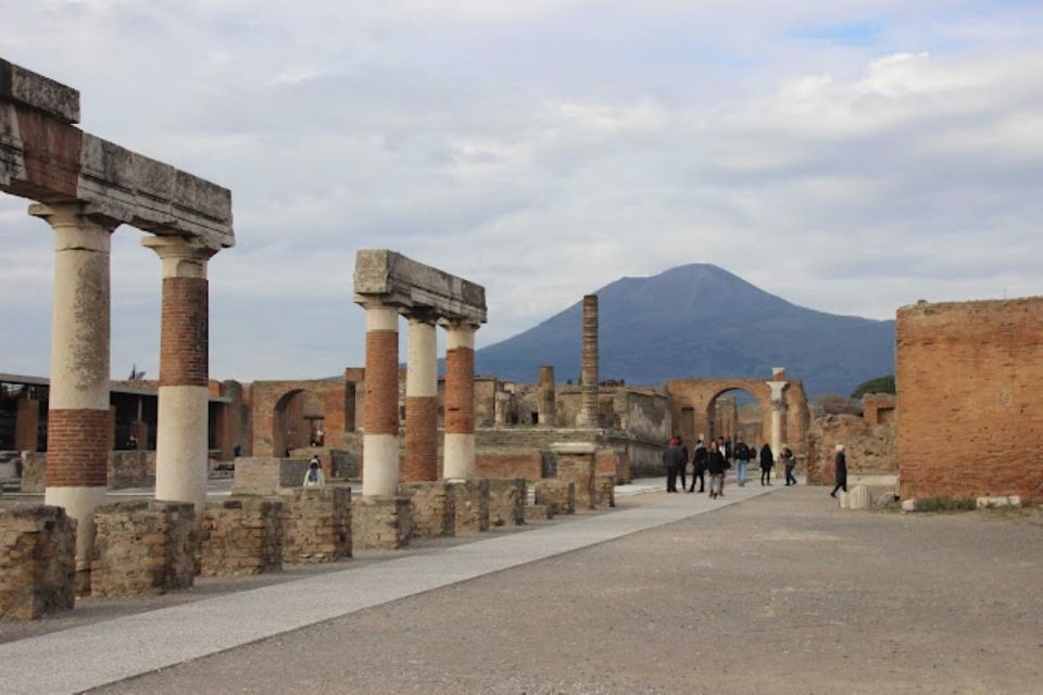 Pompeii and Wine Tasting Tour - Not Suitable For