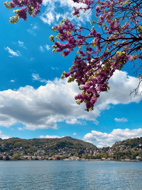 Discover Lake Como & Bellagio With a Local - Common questions