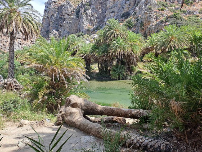 From Rethymno: Preveli Palm Beach and Damnoni Tour - Additional Costs